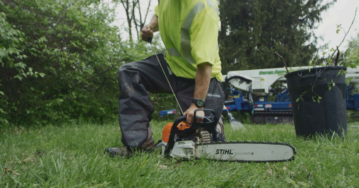 Local tree care specialist working in Albany, GA