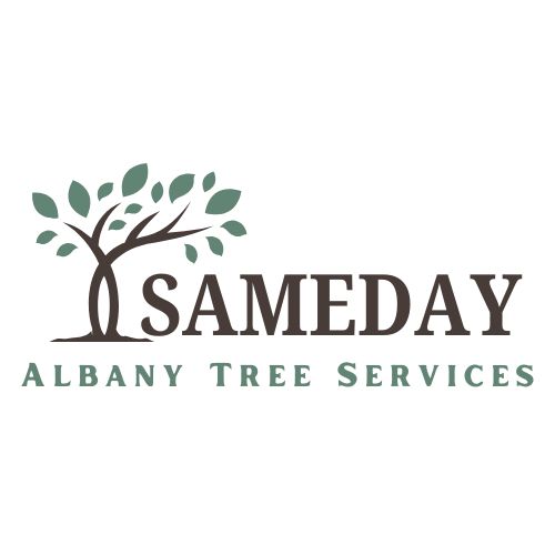 SameDay Albany Tree Services Logo