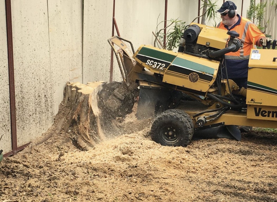Professional stump grinding services in Albany, GA