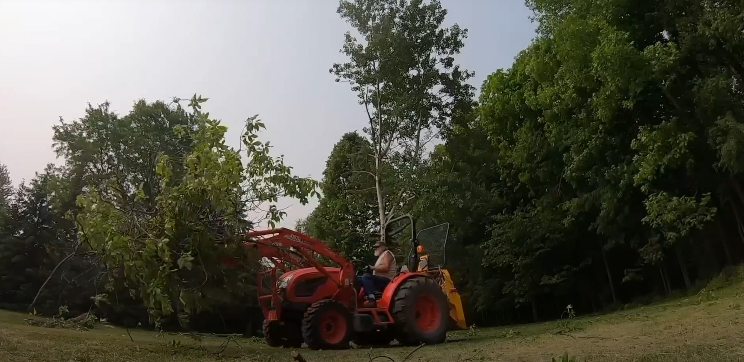 Full-service tree care for residential and commercial properties